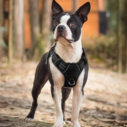 rabbitgoo Dog Harness Small Sized, No Pull Dog Vest Harness with 3 Buckles, Adjustable Soft Padded Pet Harness with Easy Control Handle and Reflective Strips, Black, S