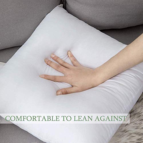 MIULEE Pack of 4 20x20 Inch Premium Pillow Inserts Decorative Pillow Stuffers Square Form for Couch Sofa Bed Cushion