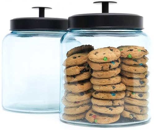 Aqua Colored Glass Cookie Jars for Kitchen Counter- Decorative Glass Food Storage Containers with Airtight Lid for Dog Treat, Flour, Candy Jar, Laundry Detergent by kitchentoolz - 2 Pack