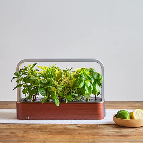 EDN SmallGarden with Basil SeedPods, Indoor Grow Smart Garden Starter Kit for Fresh Home Grown Herbs, Plants and Flowers - Grow up to 10 Different Plants at Once