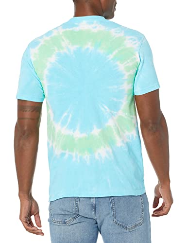 Liquid Blue unisex adult Cheech and Chong Smokin' Ride Tie Dye Short Sleeve T-shirt T Shirt, Multi Colored Tie Dye, Medium US