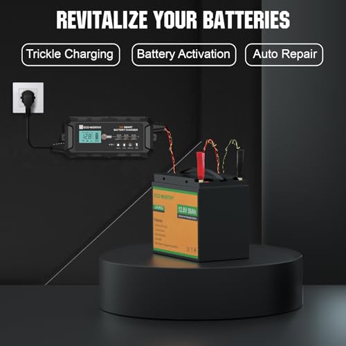 ECO-WORTHY 10A Lifepo4 Battery Charger 12V, Smart Car Battery Charger Automotive Battery Maintainer, Trickle Charger and Desulfator for Lead Acid Motorcycle Marine Boat