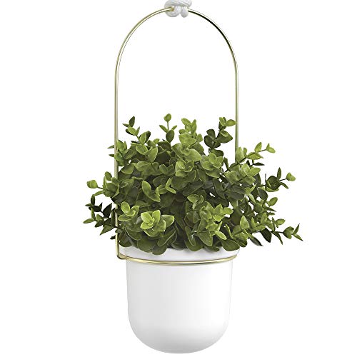 Umbra Triflora Hanging Planter for Window, Indoor Herb Garden, Set of 5, Black