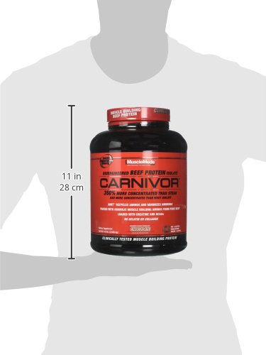 MuscleMeds CARNIVOR Beef Protein Isolate Powder, Muscle Building, Recovery, Lactose Free, Sugar Free, Fat, Free, 23g Protein, Halal Certified, Chocolate, 56 Servings