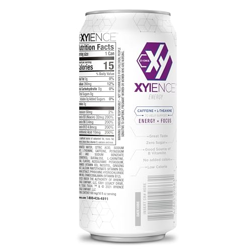 Xyience Blueberry Pomegranate Energy Drink, 16 fl oz can (Pack of 12)