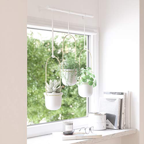 Umbra Triflora Hanging Planter for Window, Indoor Herb Garden, Set of 5, Black