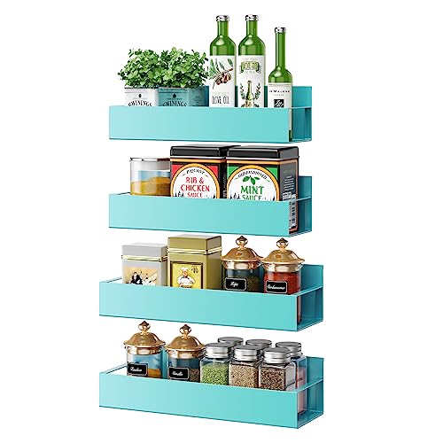 Vetacsion 4 Pack Moveable Fridge Magnetic Spice Racks,Metal Red