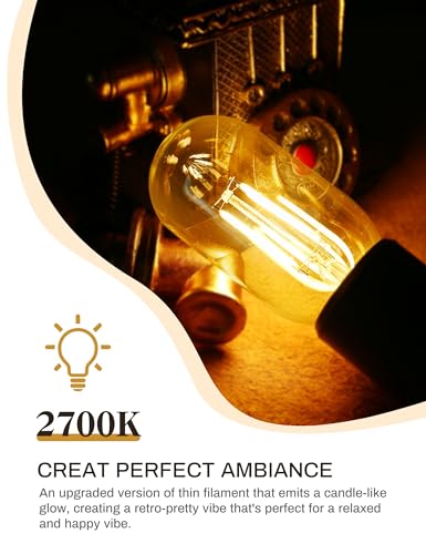 4 Pack LED Edison Bulbs, 4W Edison Light Bulbs, Antique LED Filament Bulbs 40W Equivalent, E26 Base, T45 LED Bulb with Clear Glass, Warm White 2700K, Non Dimmable, Great for Home, Bedroom, Office