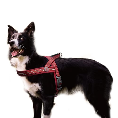 DOCO No-Pull Dog Harness Halter - Reflective, Easy-Control Harness - Ideal for Teaching Leash Manners and Preventing Pulling (Navy Blue, Small)