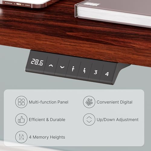 FLEXISPOT Standing Desk Electric Sit Stand Desk with 48 x 24 Inches Ergonomic Memory Controller Adjustable Height Desk with USB Charging Ports