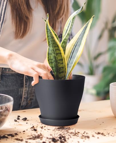 homenote Plant Pots, Set of 15 Plastic Planters with Multiple Drainage Holes and Tray 6 inch Indoor Plant Pot for All Home Garden Flowers Succulents (Black)