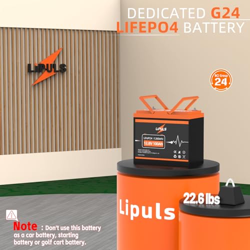 LIPULS 12V 100Ah LiFePO4 Lithium Battery (1-Pack), 4000~15000 Deep Cycle Lithium Iron Phosphate Battery, Built-in 100A BMS, Support in Series/Parallel, for RV, Camping, Trolling Motor, Off-Grid System
