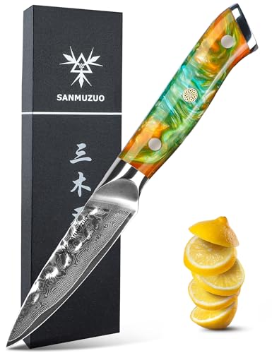 SANMUZUO 3.5 Inch Paring Knife - Fruit and Vegetable Peeling Knives, Forged Damascus Steel & Resin Handle - Yao Series