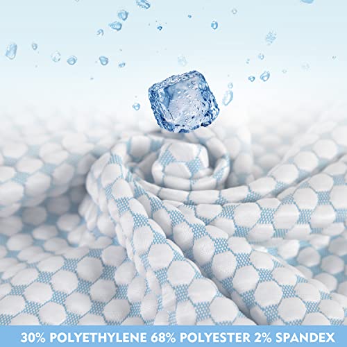 Ramesses Pillowcase Queen Size, with 3D Air Fabric Cooling Bubbles Face Offer Super Silky Soft, Set of 2 Pillow Cases (Queen, Blue)