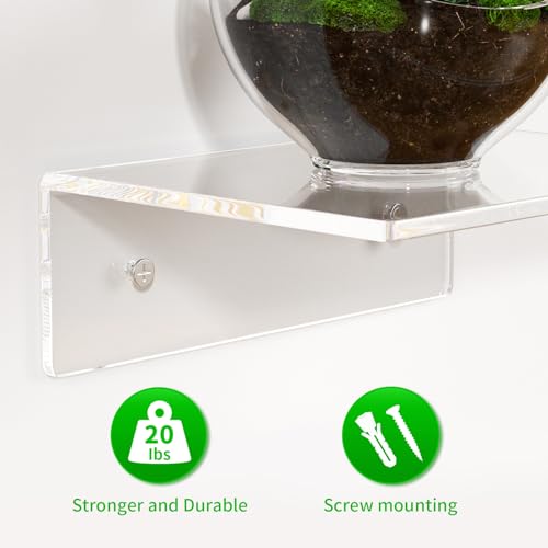 FEMELI 2 PCS 6" Acrylic Floating Shelves, Clear Shelf for Display, Plant, Perfume, Book in Bedroom Living Room Office, 5mm Thick Wall-Mounted Acrylic Shelves for Wall