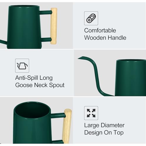 Watering Can Indoor Plants, 35 oz/1000 ml Metal Stainless Steel Watering Can Pot with Long Spout for Indoor House Plants Bonsai Outdoor Garden Flower Decorative (Alpinegreen)