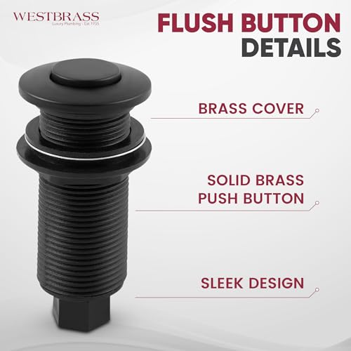 Westbrass ASB-11 Sink Top Waste Disposal Air Switch and Single Outlet Control Box, Flush Button, 1-Pack, Antique Copper