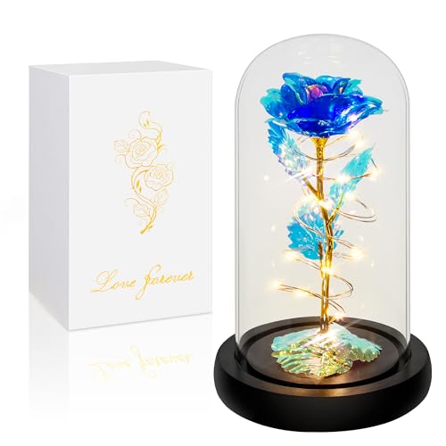 Christmas Rose Gifts for Women,Blue Colorful Artificial Flower,Xmas Rose Flowers Gift for Mom Her,Light Up Rose Flower in Glass Dome,Women Birthday Gifts Ideas for Her,Womens,Mom