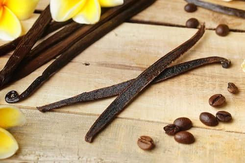 12 Large Vanilla Beans For Making Vanilla Extract Grade A - NON-GMO Planifolia Type Bulk, 6-8 Inches Grade A+