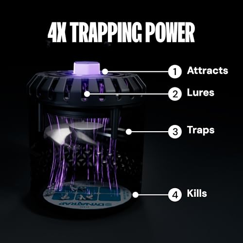 DynaTrap DT152 Indoor Insect Trap and Killer – Catches and Kills Fruit Flies, Gnats, Moths, Mosquitoes & Other Flying Insects