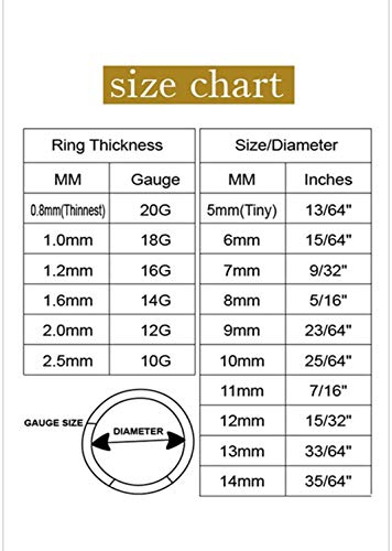 2pcs Pair 12mm Septum Ring Silver Nose Rings Hoop 16 Gauge Nose Hoop Helix Daith Tragus Hinged Segment Septum Clicker Lip Rings 316L Surgical Steel 16g Cartilage Earring Nose Piercing Jewelry