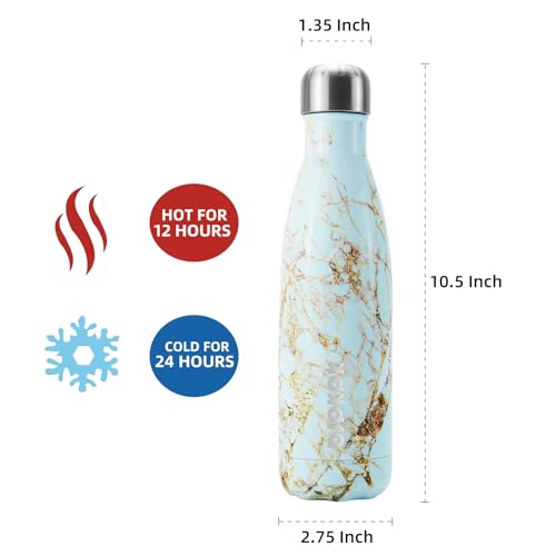 BJPKPK Insulated Water Bottles 17oz, Leak Proof Stainless Steel Water Bottle Keeps Cold for 24H and Hot for 12H, BPA Free Water Bottle,Lake Blue