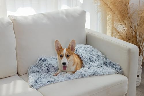 PJYuCien Blankets 1 Pack 3 - Fluffy Premium Fleece Flannel Throw Dog Blanket, Soft Warm Cute Print Cat Blanket, 23"x16" Pet Blankets for Small Dog Cat Puppy