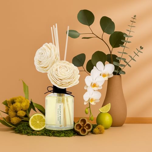 Aronica Twin Sola Diffuser 160ml_Eucalyptus and Bergamot Scent Sticks Oil Diffuser for Modern Home Shelf Decor, Entryway Table Fragrance for Aesthetic Bedroom