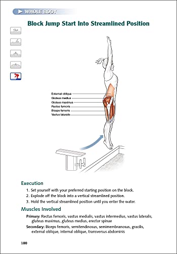 Swimming Anatomy