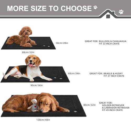 BEQHAUSE Dog Door Mat for Muddy Paws Dirt Trapper Absorbent Entryway Rug Non-Slip Washable Dog Mat Low-Profile Indoor Door Mats Soft Welcome Mat for Muddy Wet Shoes and Paws,Black 20"x32"