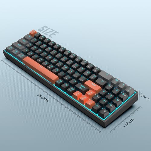 Odycle Wired Gaming Mechanical Keyboard, Portable LED Backlit Keyboard, 78 Keys 60% Mini Keyboard with Hot Swappable Red Switch, USB-A and Type-C Receiver for PC, Mac and All Type-C Devices, Black