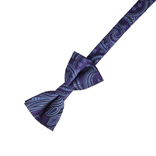 Epoint EGE1B02B-M Medium Purple Patterns Microfiber Vest and Pre-tied Bow Tie