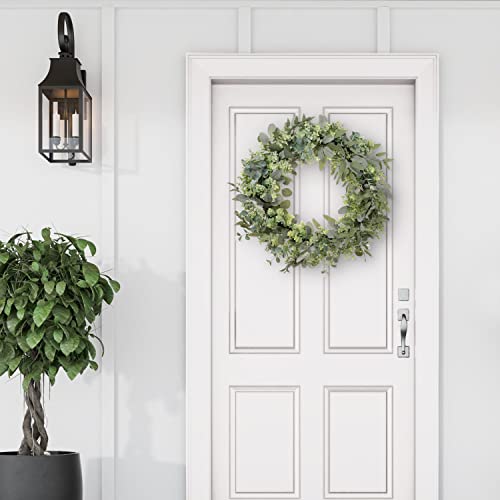 24" Artificial Eucalyptus Spring Wreath with Creeping Jenny Leaves