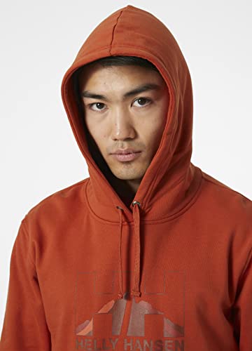 Helly-Hansen Men's Nord Graphic Pull Over Hoodie, 787 Lynx