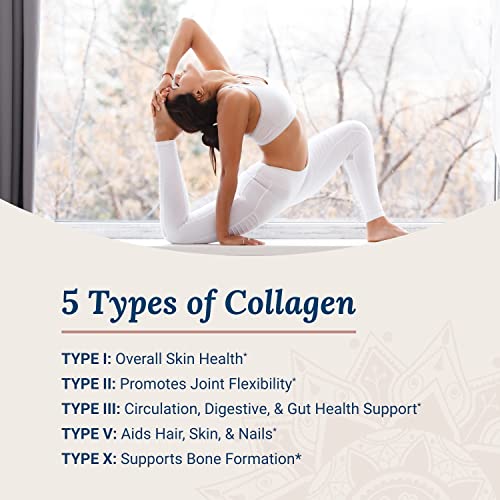 Live Conscious Collagen Peptides Powder - Chocolate Collagen Powder - Hair, Skin, Nail, and Joint Support - Type I & III Grass-Fed Collagen Supplements for Women and Men - 30 Servings - 15oz