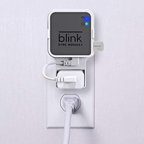 256GB USB Flash Drive for Local Video Storage with The Blink Sync Module 2 Mount (Blink Add-On Sync Module 2 is NOT Included)