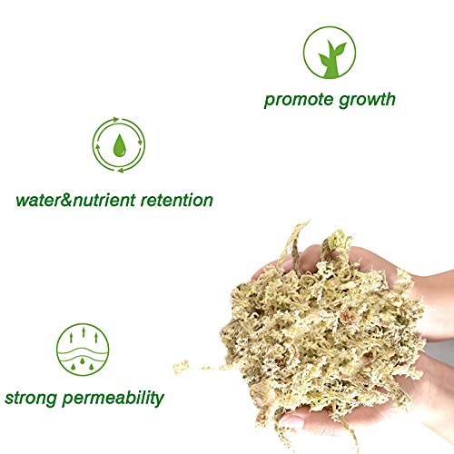 Halatool 3OZ Natural Sphagnum Moss for Plants 2 QT Premium Peat Moss Dried Long Fiber Orchid Moss for Orchid Repotting Carnivorous Succulents Garden Flowers Crafts Terrarium and Reptiles