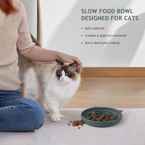 Coomazy 2-in-1 Silicone Slow Feeder Dog Cat Bowls, Lick Mat Interactive Puzzle Toy for Pets Dry/Wet Food Training, Keeps Dogs Cats Busy, Prevents Puppy Kitty Overeating (Avocado, 1.2 Cup)