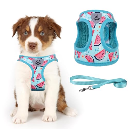 KOOLTAIL Dog Harness for Small Medium Dogs,Dog Harness and Leash Set, Step in No Pull Soft Mesh Padded Adjustable and Reflective Pet Vest Harness Puppy, Plaid Extra Harness for XS S Dogs, Beige XS