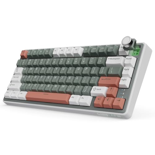 RK ROYAL KLUDGE R75 Wireless Mechanical Keyboard, 75% Percent Custom Gaming Keyboard Gasket Mount RGB Backlit with Knob & PBT Keycaps, BT5.1/2.4GHz/USB-C, QMK/VIA, Hot Swappable Cream Switch
