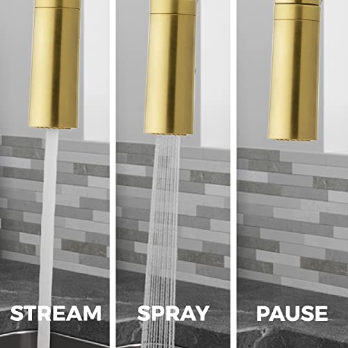 Pfister Zanna Kitchen Faucet with Pull Down Sprayer and Soap Dispenser, Single Handle, High Arc, Brushed Gold Finish, F5297ZNRBG