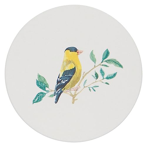 Now Design Set of 4 Soak Up Coasters, Birdsong