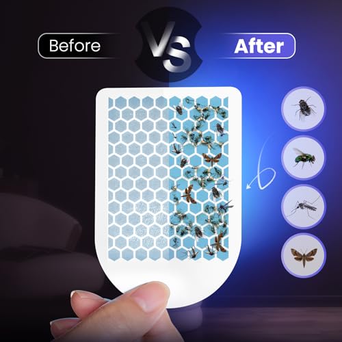 LiBa Fly Trap Indoor for Home, Plug-in Flying Insect Trap for Flies, Fruit Flies, Moths, Gnats, Mosquito Killer Insect Catcher Fly Tapper with 3 Refill Glue Cards for Home Office