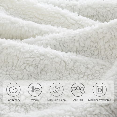 BEDELITE Sherpa Fleece Blanket Twin Size, Thick Warm Blankets for Winter, Reversible Soft & Cozy Fuzzy Blanket for Couch and Bed (Purple, 60" X 80")