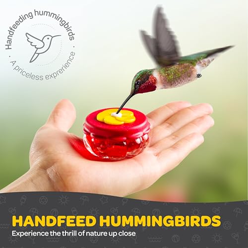 Handheld Small Glass Hummingbird Feeders (Set of 2) with Window Suction Mount Base - Window/Handheld or Tabletop Mini Hummingbird Feeders for Outdoors