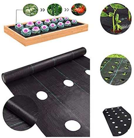 Agfabric Weed Barrier Landscape Fabric 4x6ft with Planting Holes, Hole Diameter 3", Hole Spacing 6", Row Spacing8 on Center