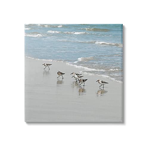 Stupell Industries Sandpipers on Shore Reflection Canvas Wall Art, Design by Natalie Carpentieri