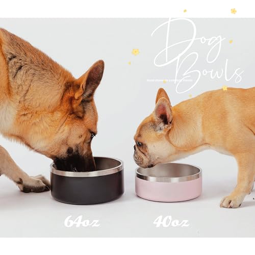 IKITCHEN Dog Bowl for Food and Water, 40 Oz Stainless Steel Pet Feeding Bowl, Durable Non-Skid Double Wall Insulated Heavy Duty with Rubber Bottom for Medium Large Sized Dogs (40 Ounces/5 Cup, Black)