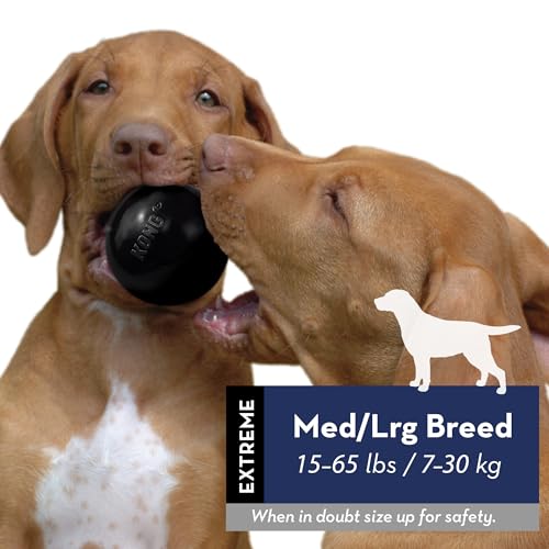 KONG Extreme Ball with Hole - Fetch Toy - Durable Dog Toy for Training, Interactive Playtime & More - Natural Extreme Rubber Ball - Black - for Large/Medium Dogs