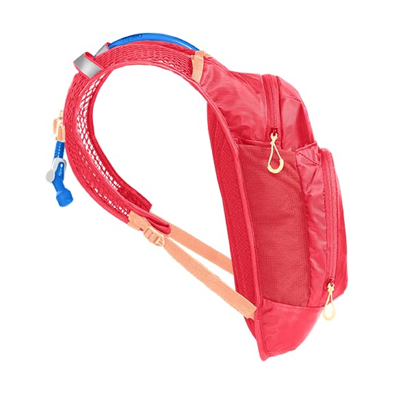 CamelBak Mini M.U.L.E. Kids Hydration Backpack for Hiking and Biking - 50oz, Pink/Flowers